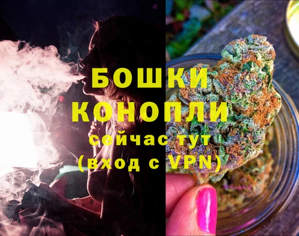 ALPHA PVP Покачи