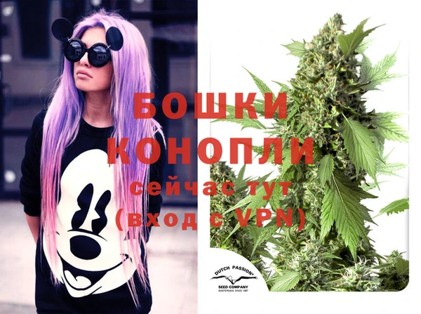 гидропоника Богданович