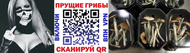 Галлюциногенные грибы мицелий ОМГ ОМГ рабочий сайт Нахабино где найти наркотики