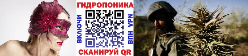Бошки Шишки гибрид  OMG зеркало  Нахабино  где продают  